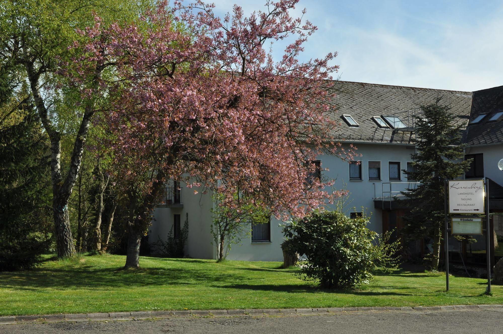 Landhotel Karrenberg Kirchberg an der Jagst エクステリア 写真